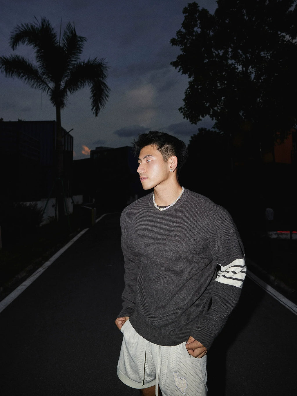 Crewneck Striped Sleeve Sweater